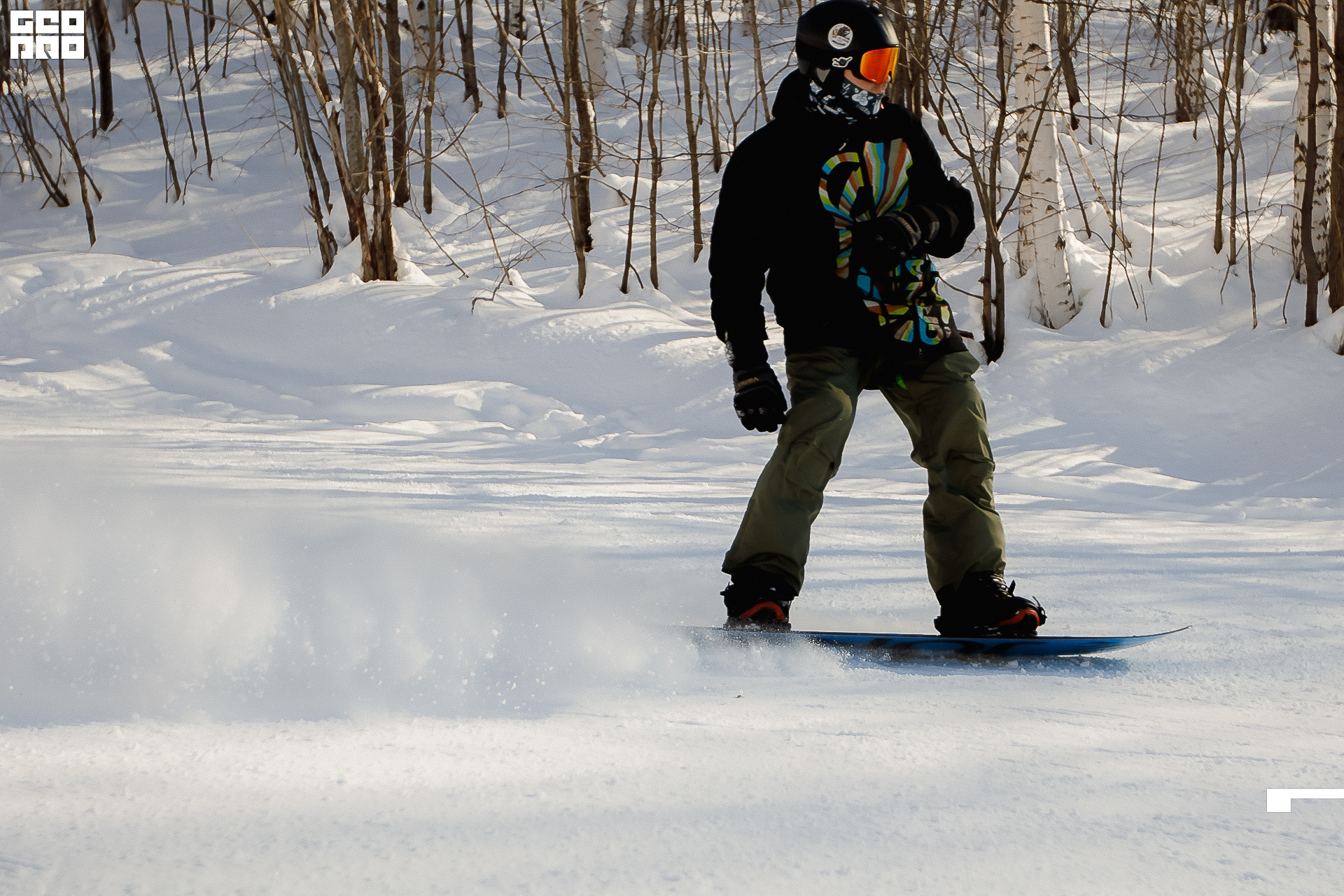 141_22-02-19 ISAEVA.jpg