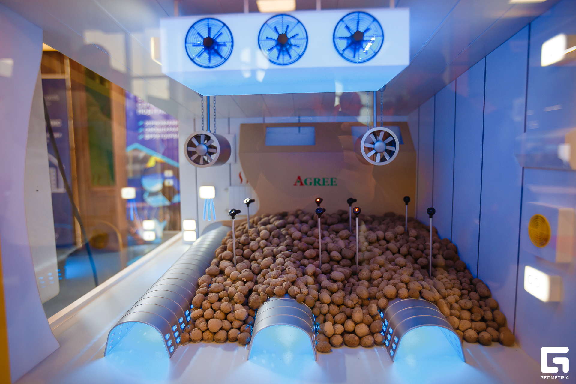 Photo-2001 (305).jpg