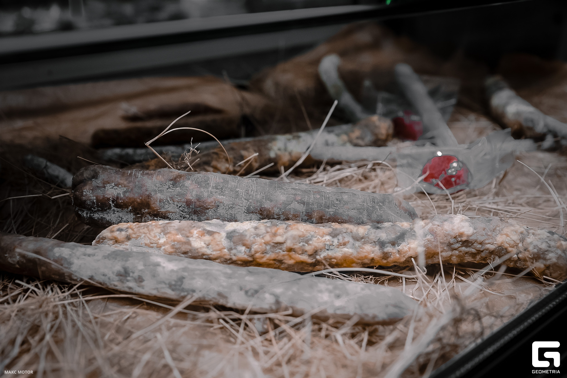 DSC08517 (Copy)-103-2.jpg