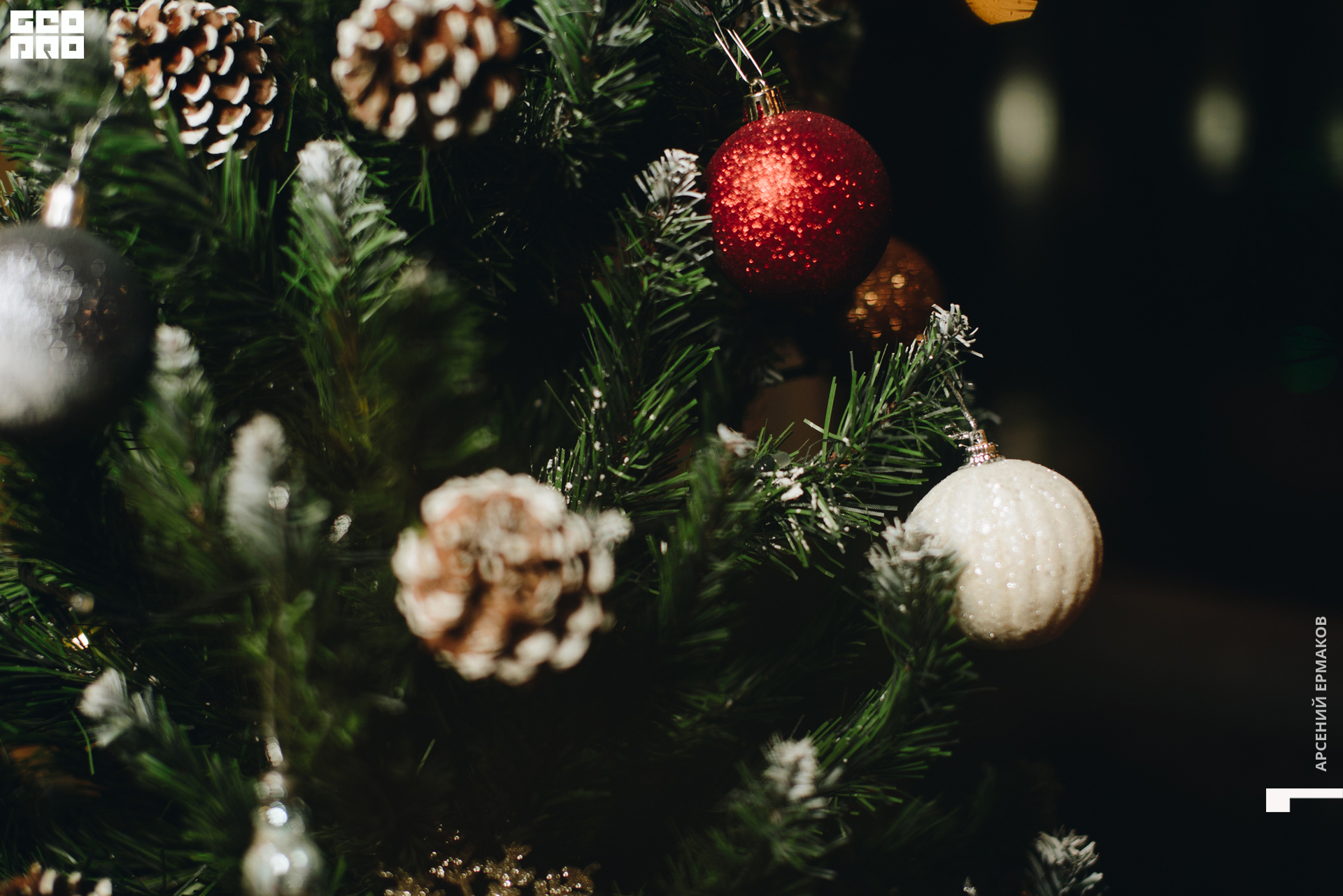 003 194618122322_arseniyermakov.jpg