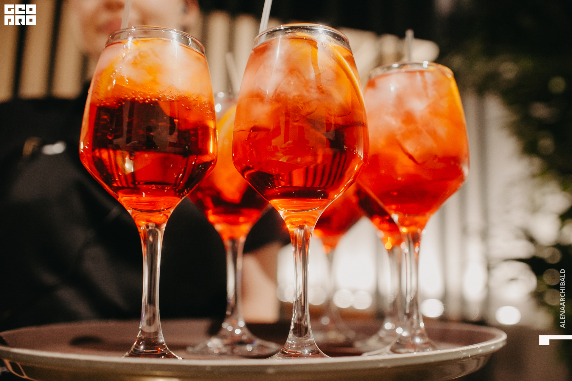 2022-11-18 20-00-27_alenaarchibald073.JPG