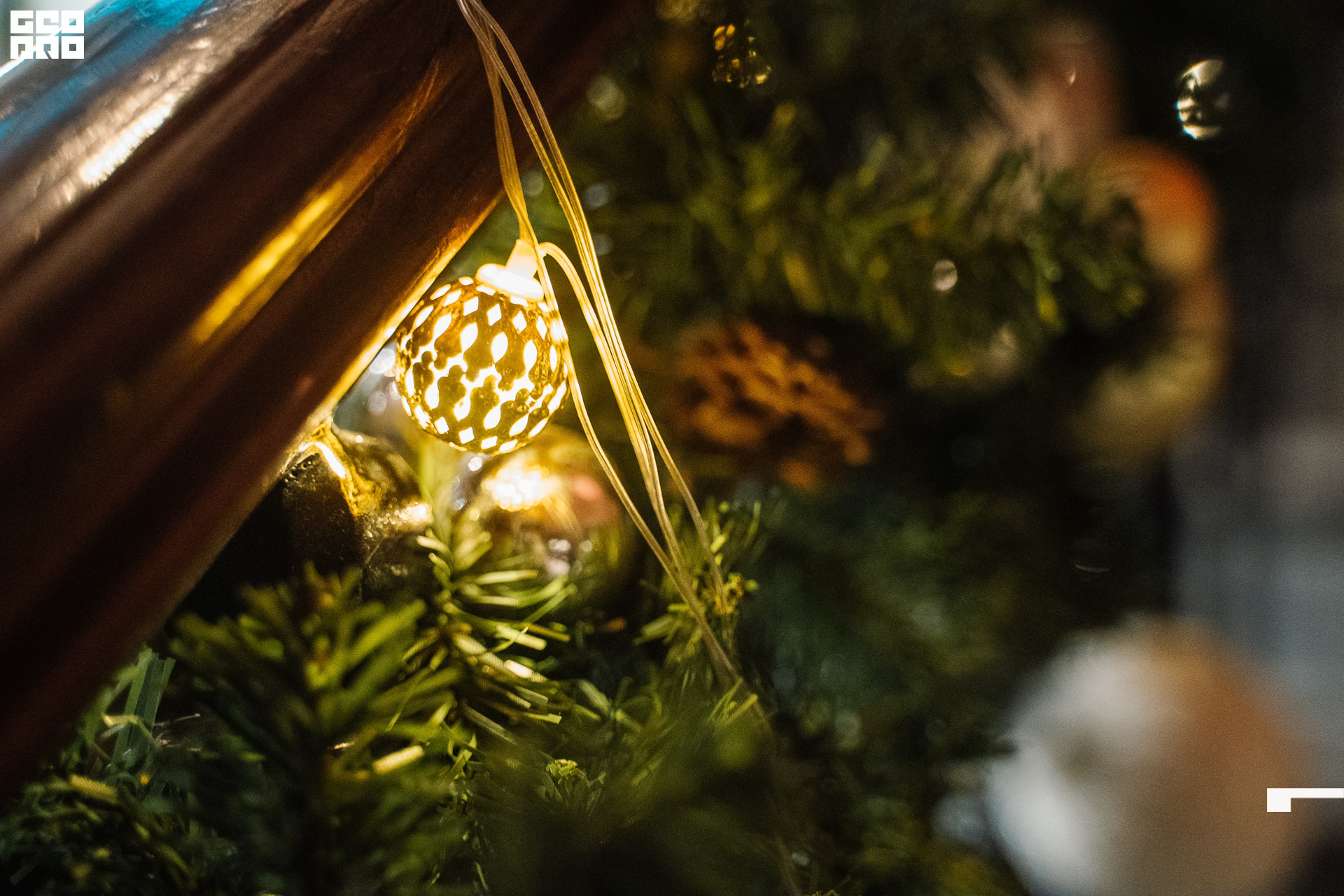 20221223 ресторан луч 0222 AV102138.jpg