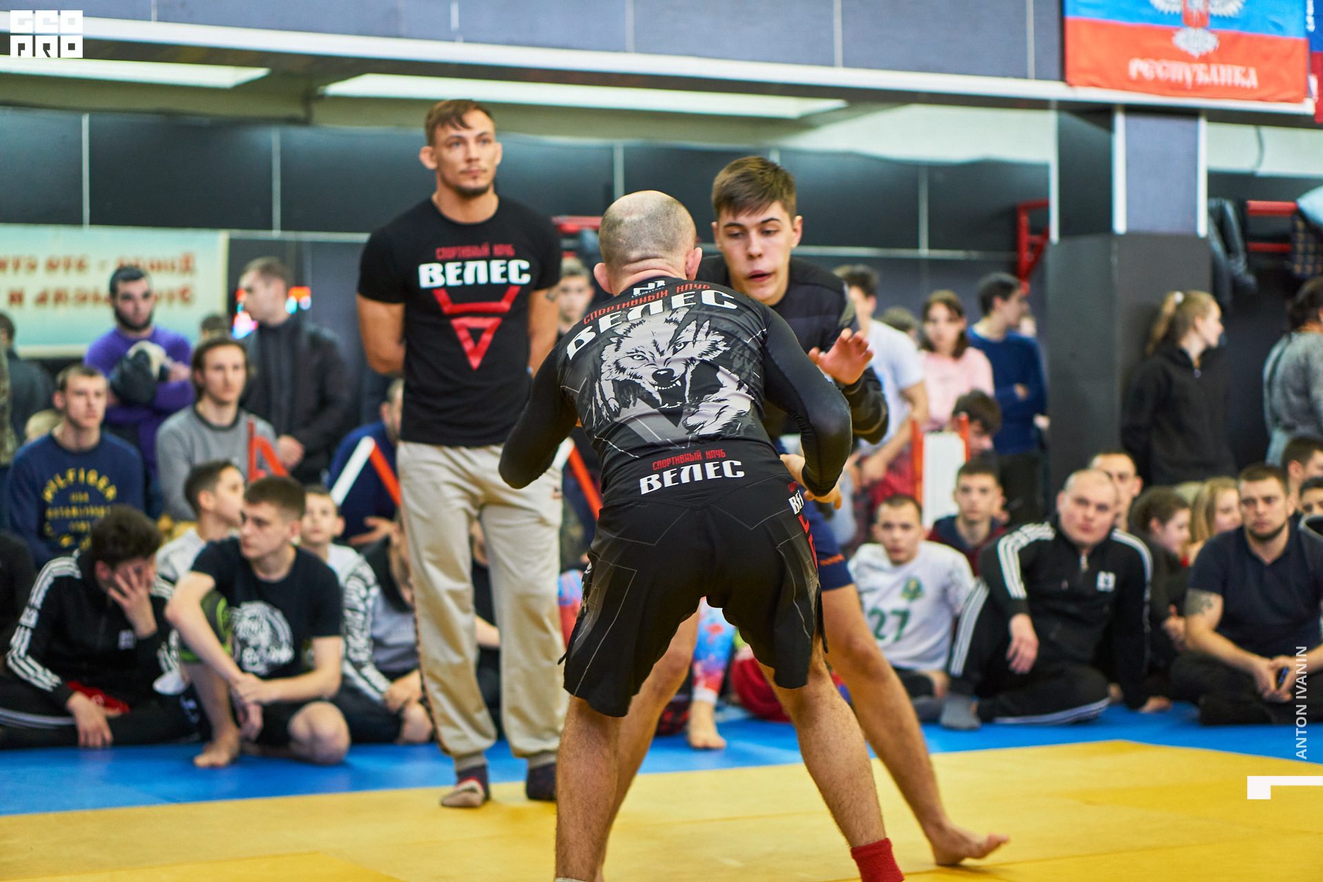 DSC08896 (Копировать).jpg