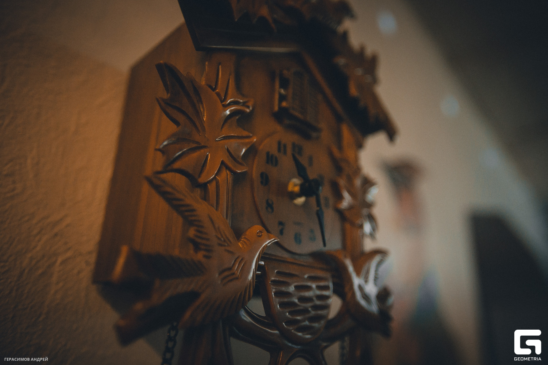 034 Свиристели 24.06.jpg