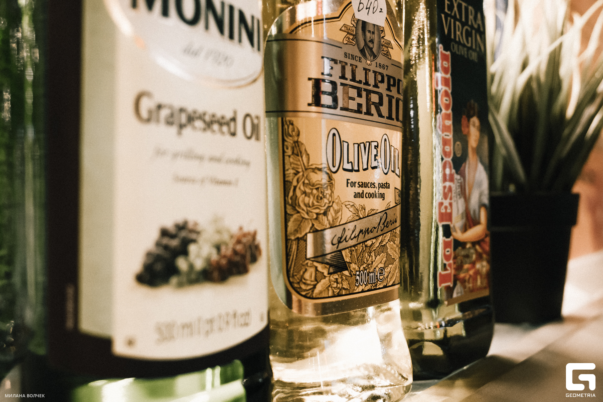 117_20231028 Волчек.jpg