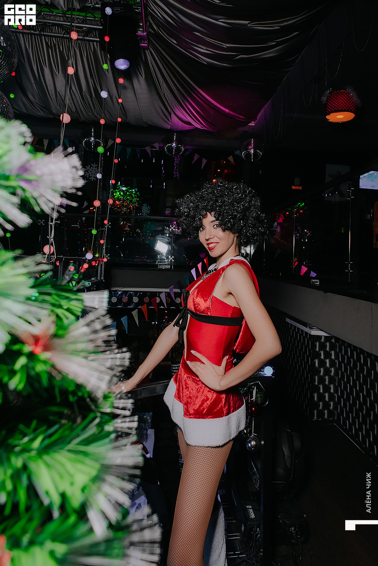 Happy Tiger Nights 19