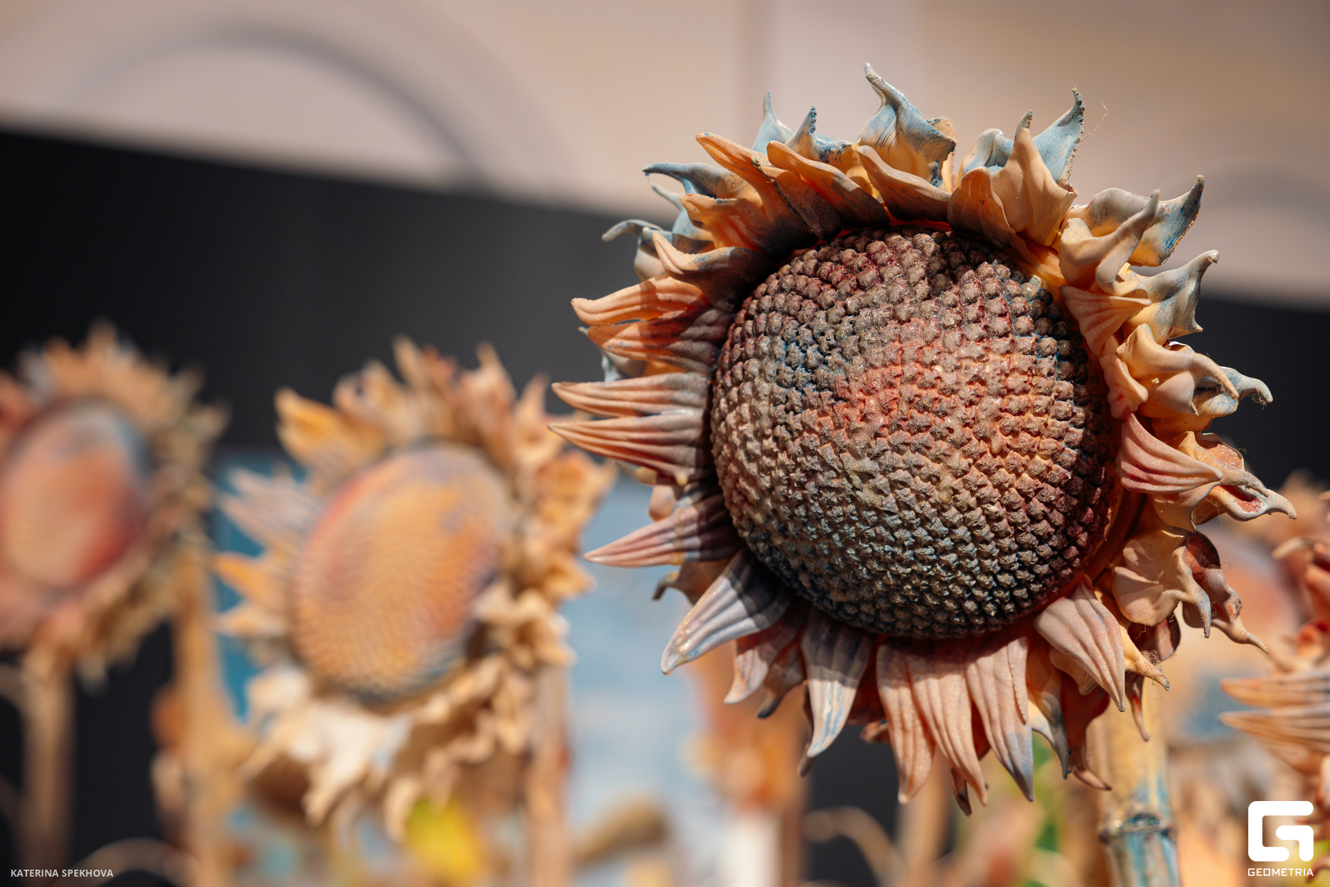 0J2A2991-Улучшено-Ум. шума.jpg