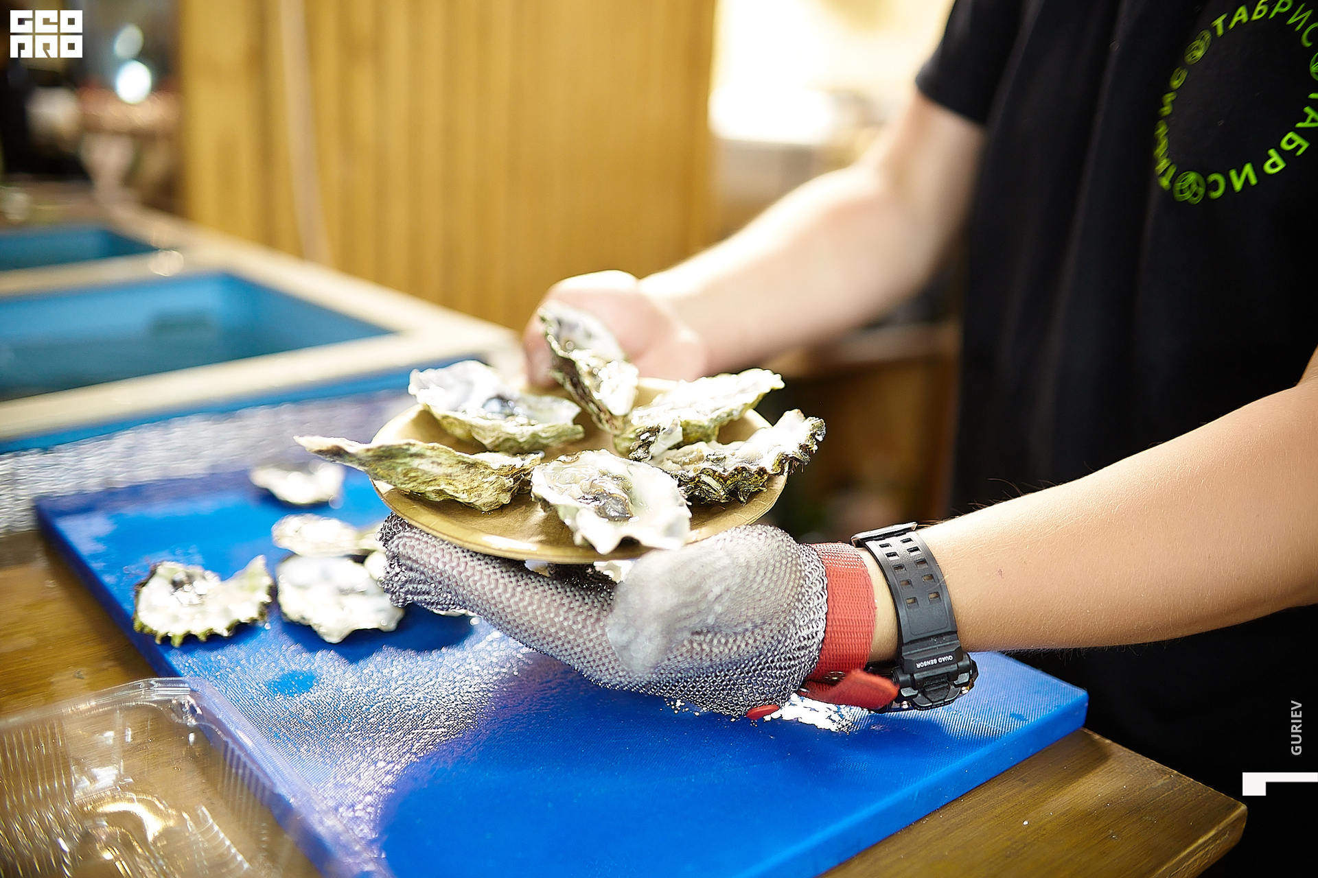 Новая папка412.jpg