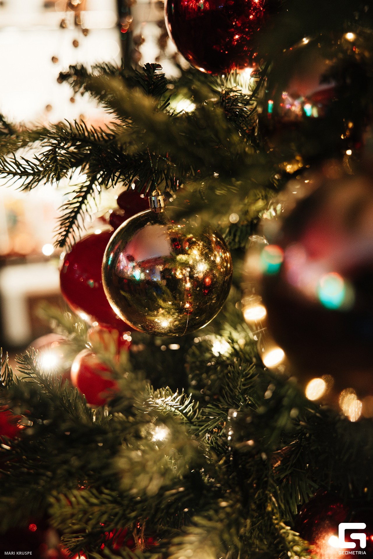 MARI9422-Улучшено-Ум. шума.jpg