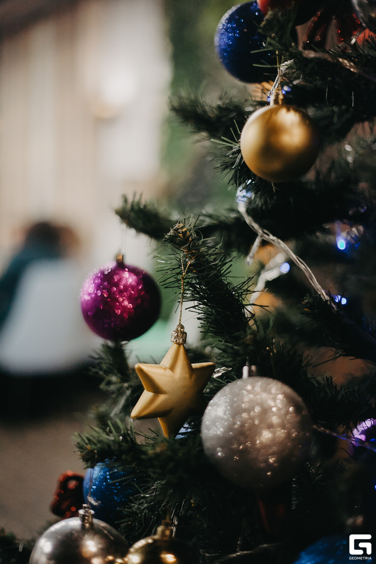 2023-12-23 20-01-57_alenaarchibald001.JPG