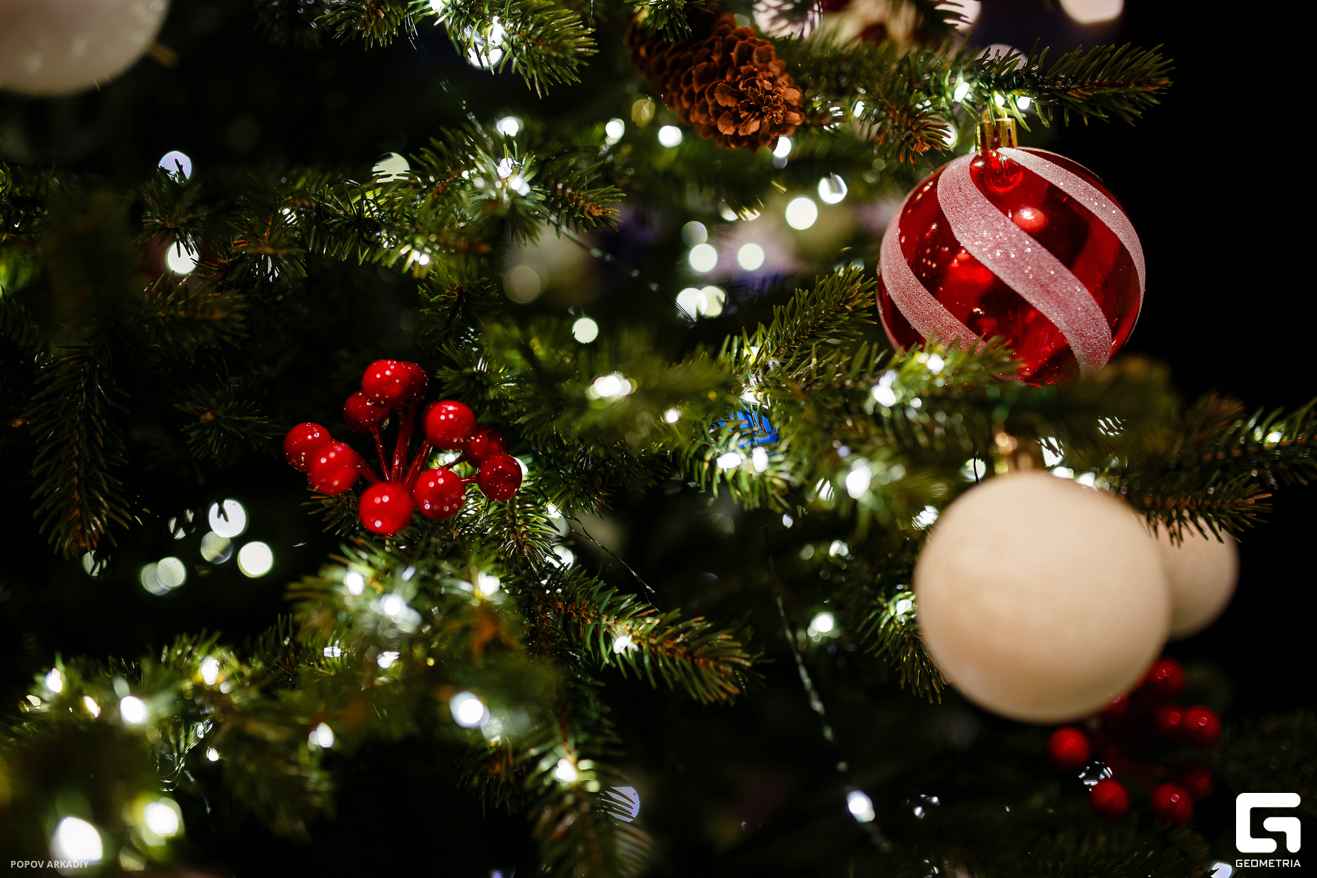 IMG_9509-Улучшено-Ум. шума.jpg