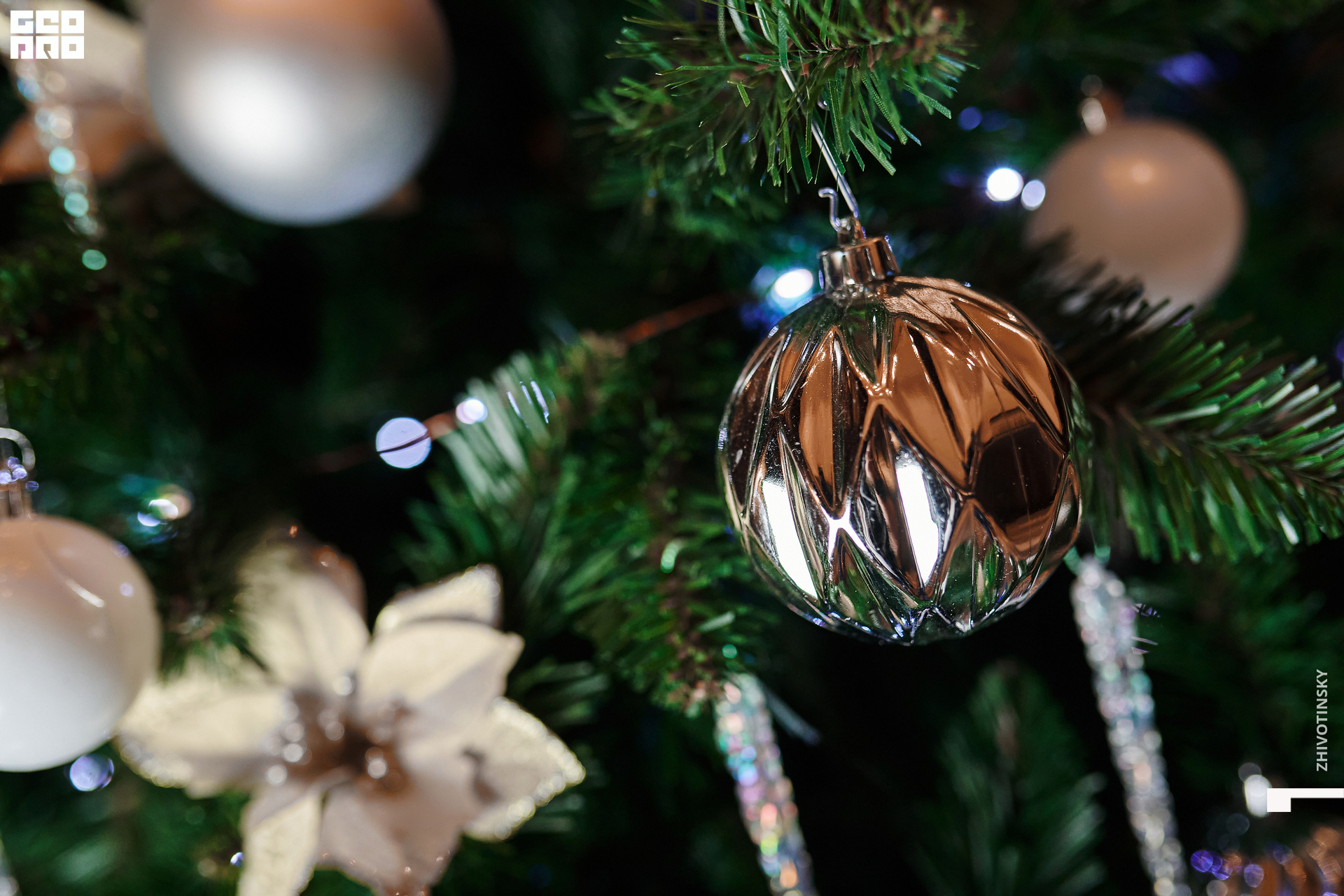 063_24-12-21_10-01 _Zhivotinsky.jpg