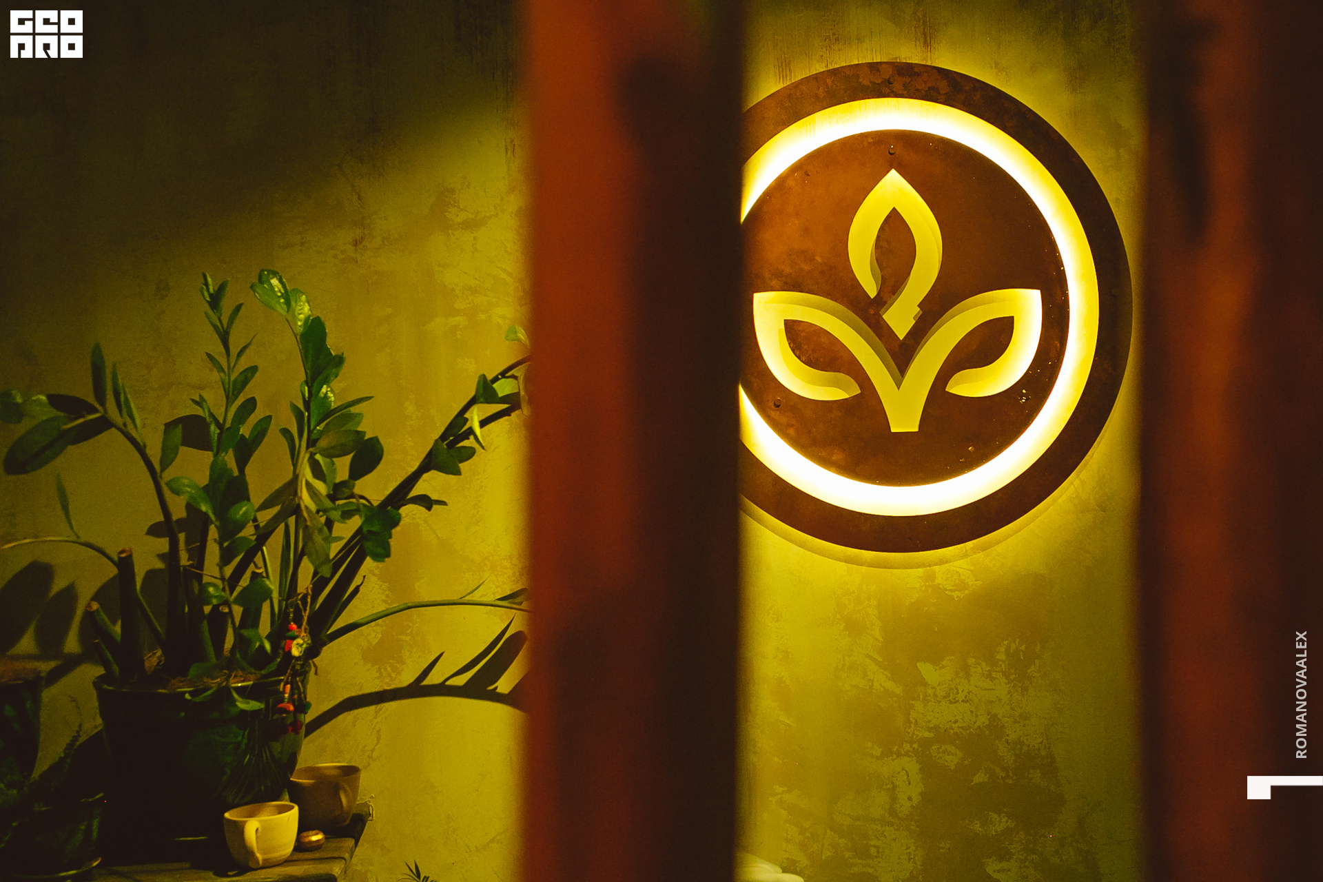 078  ale_romanova.jpg