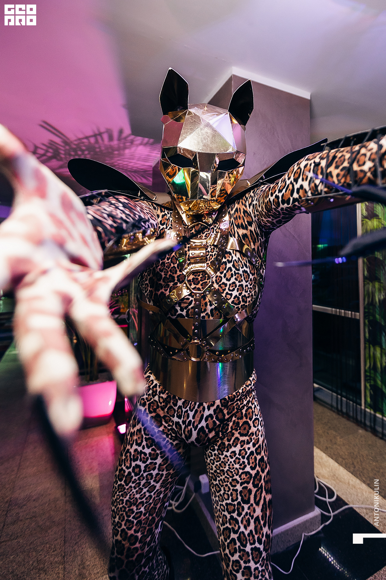 untitled shoot-5266.jpg