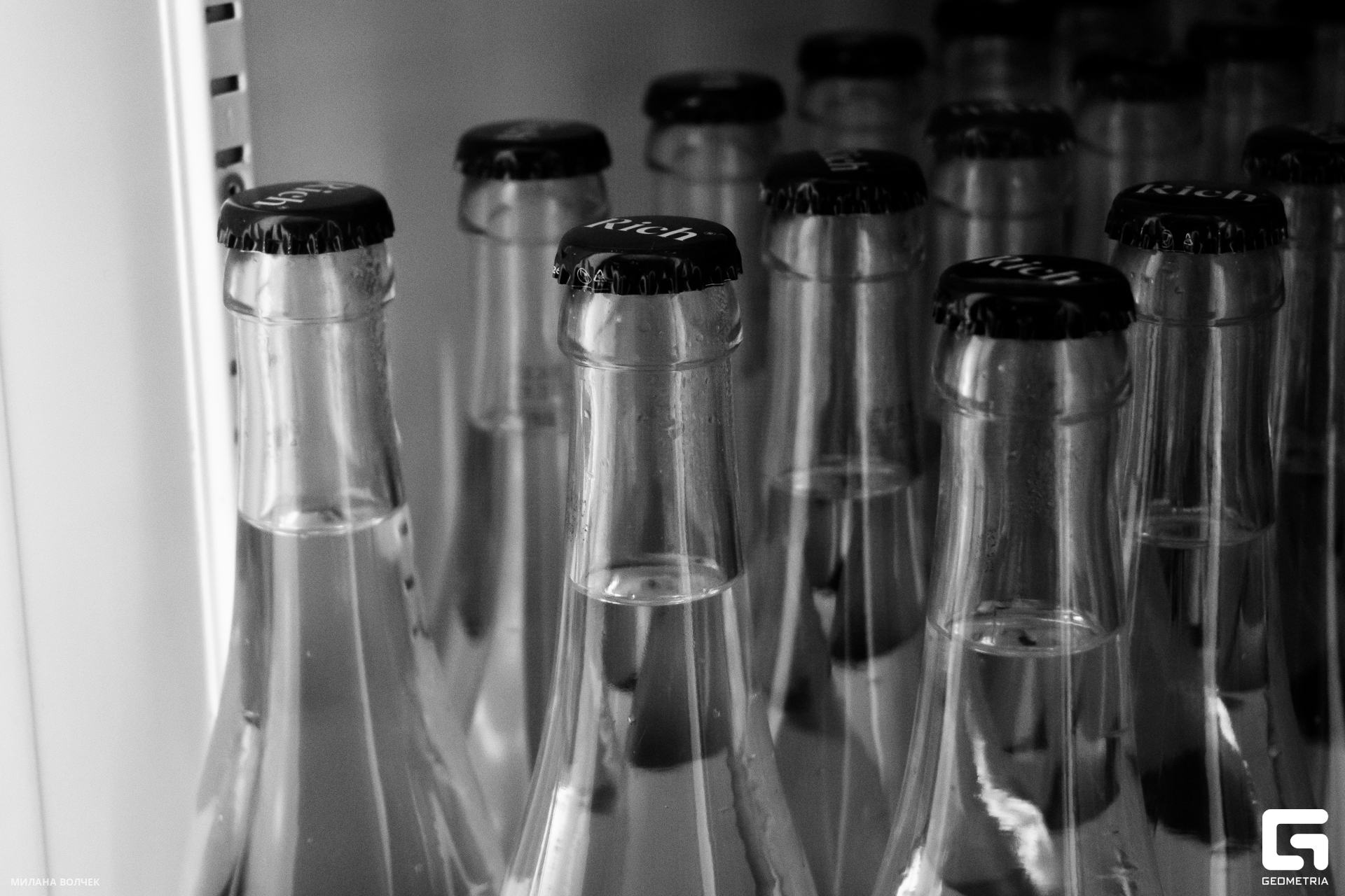 023_20231124 Волчек.jpg