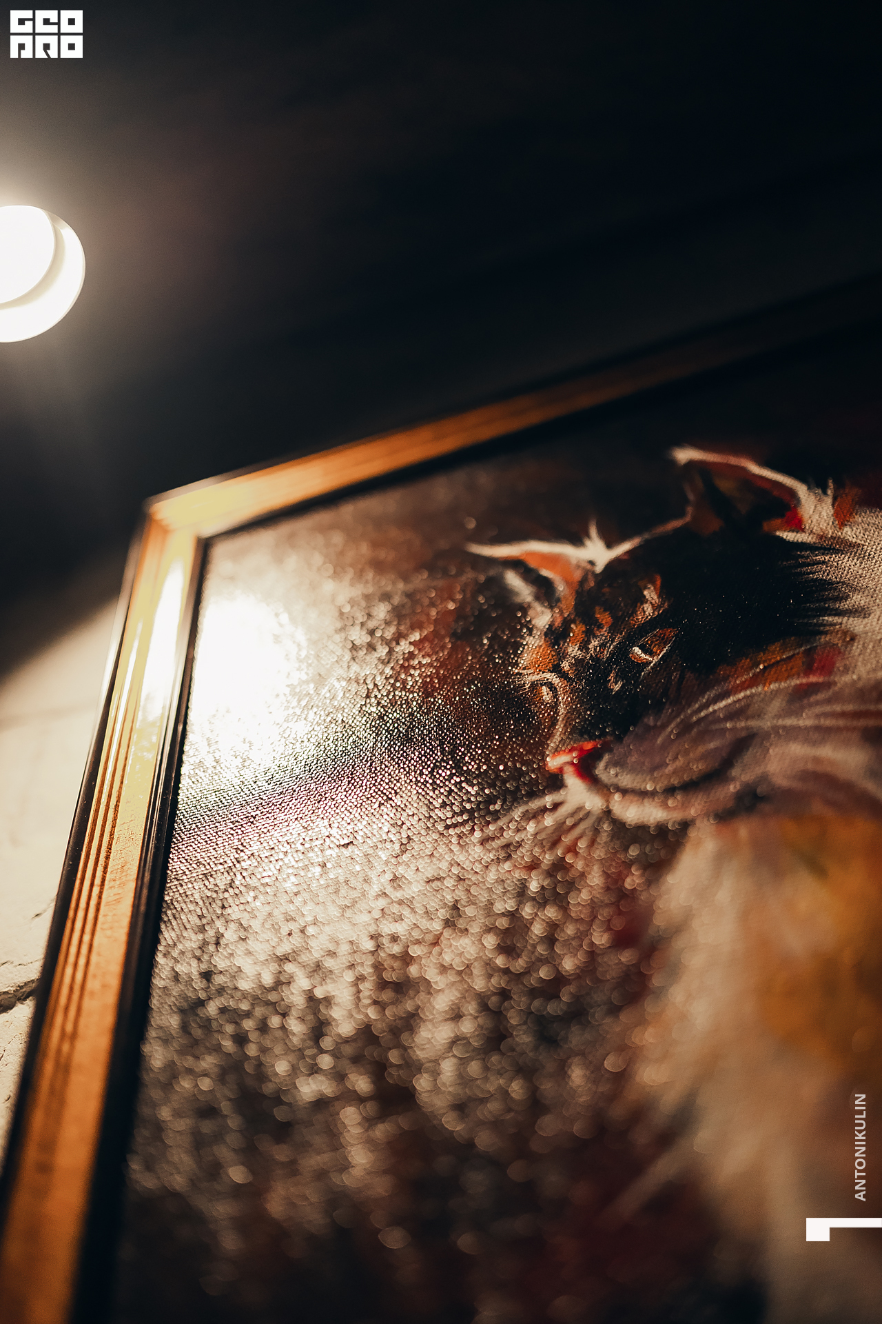 untitled shoot-9422.jpg