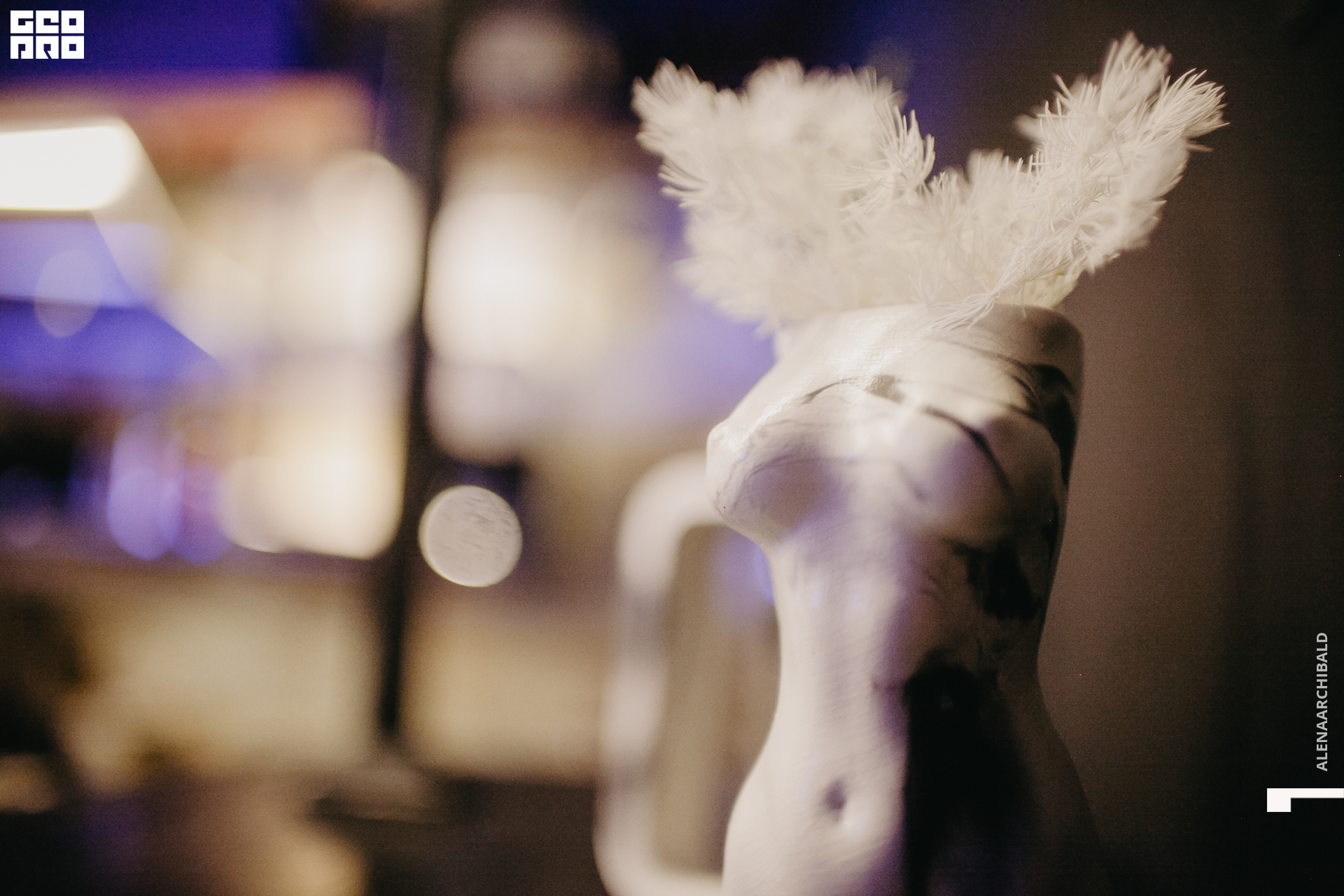 2022-11-18 20-00-27_alenaarchibald094.JPG