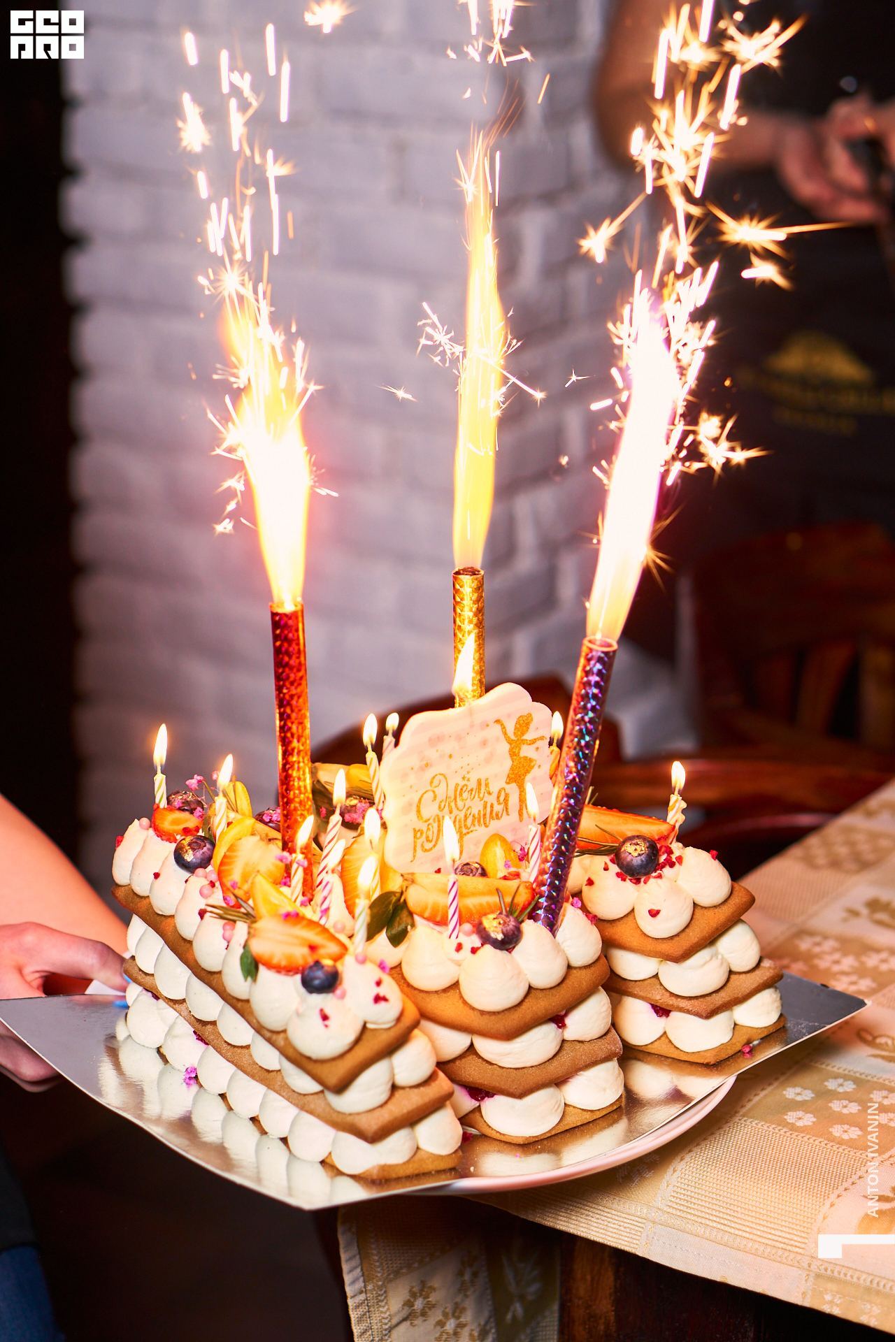 DSC04006 (Копировать).jpg