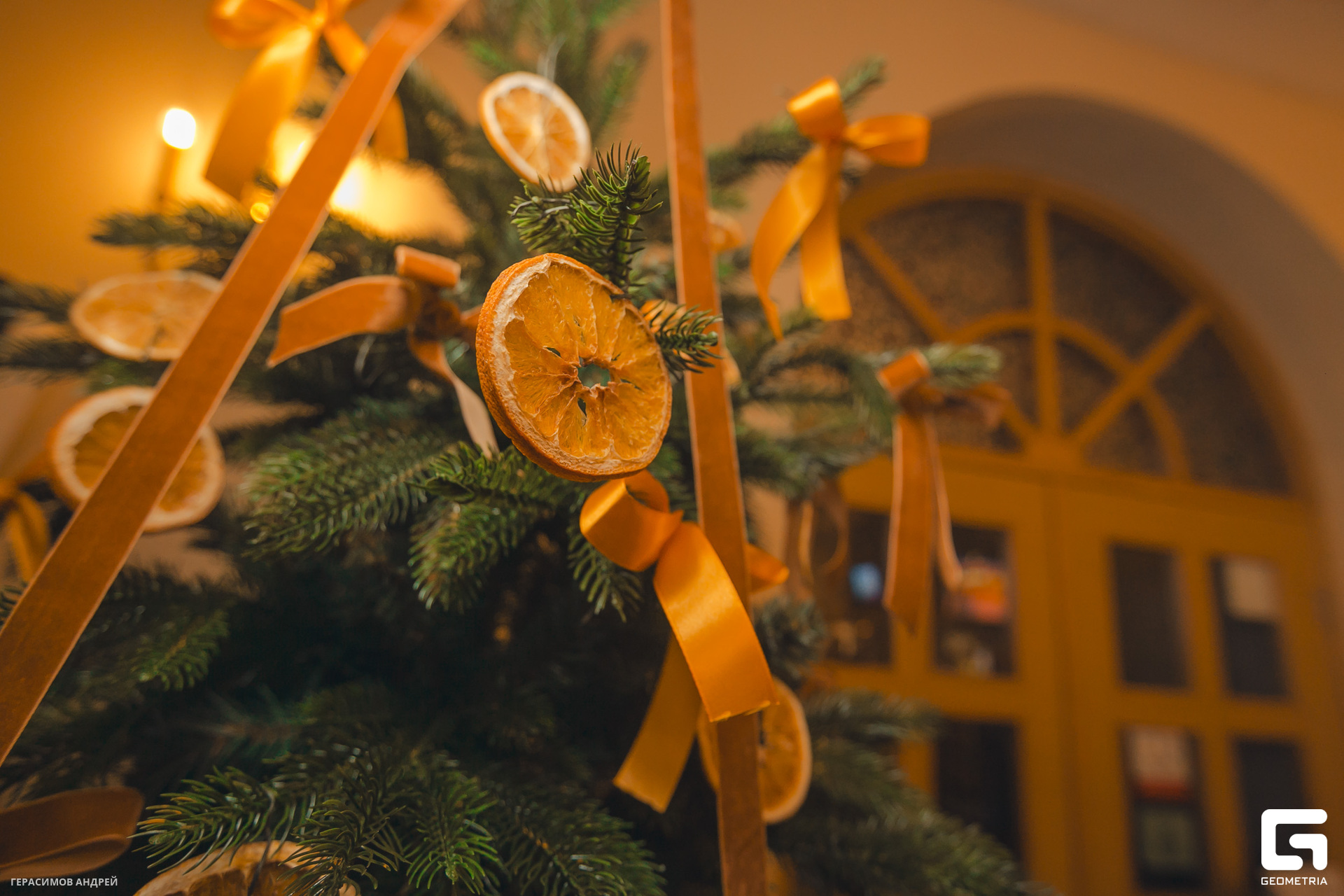 003  Luciano  22.12.jpg