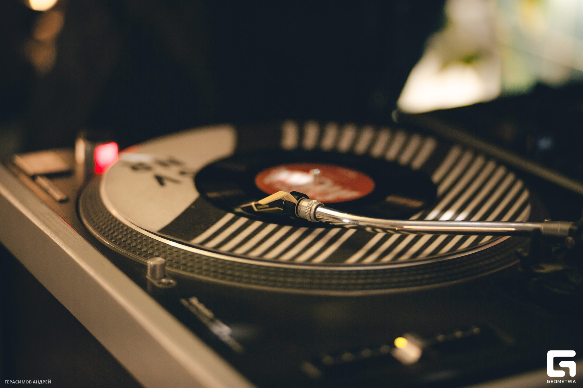 002 Свиристели 24.06.jpg