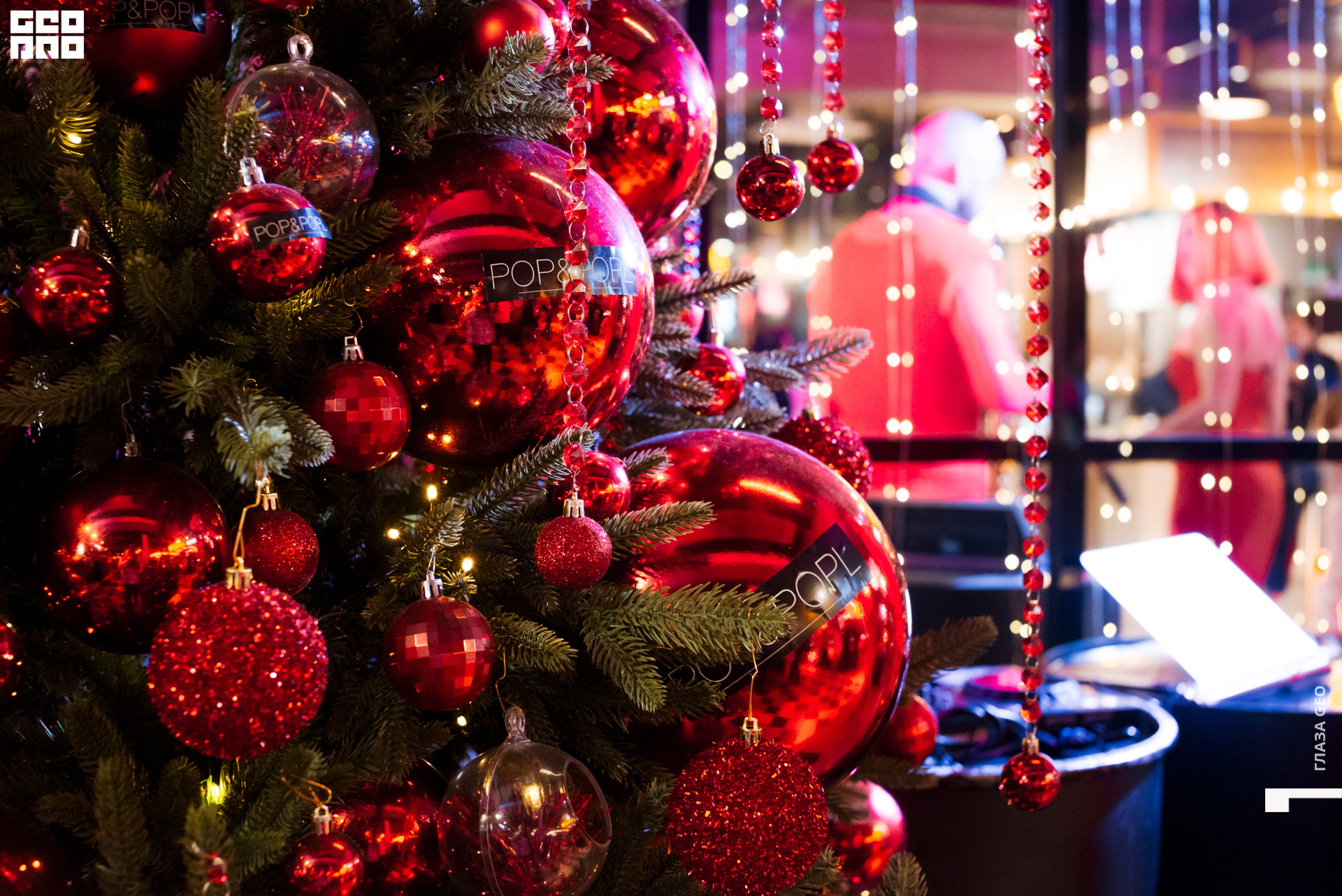 20221229 Волчек 007.jpg