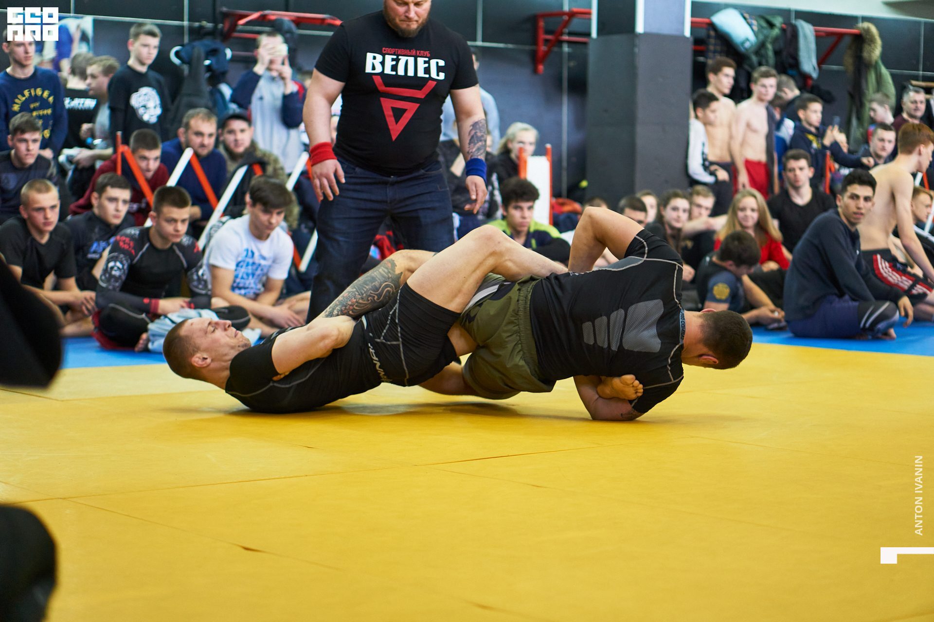 DSC08767 (Копировать).jpg