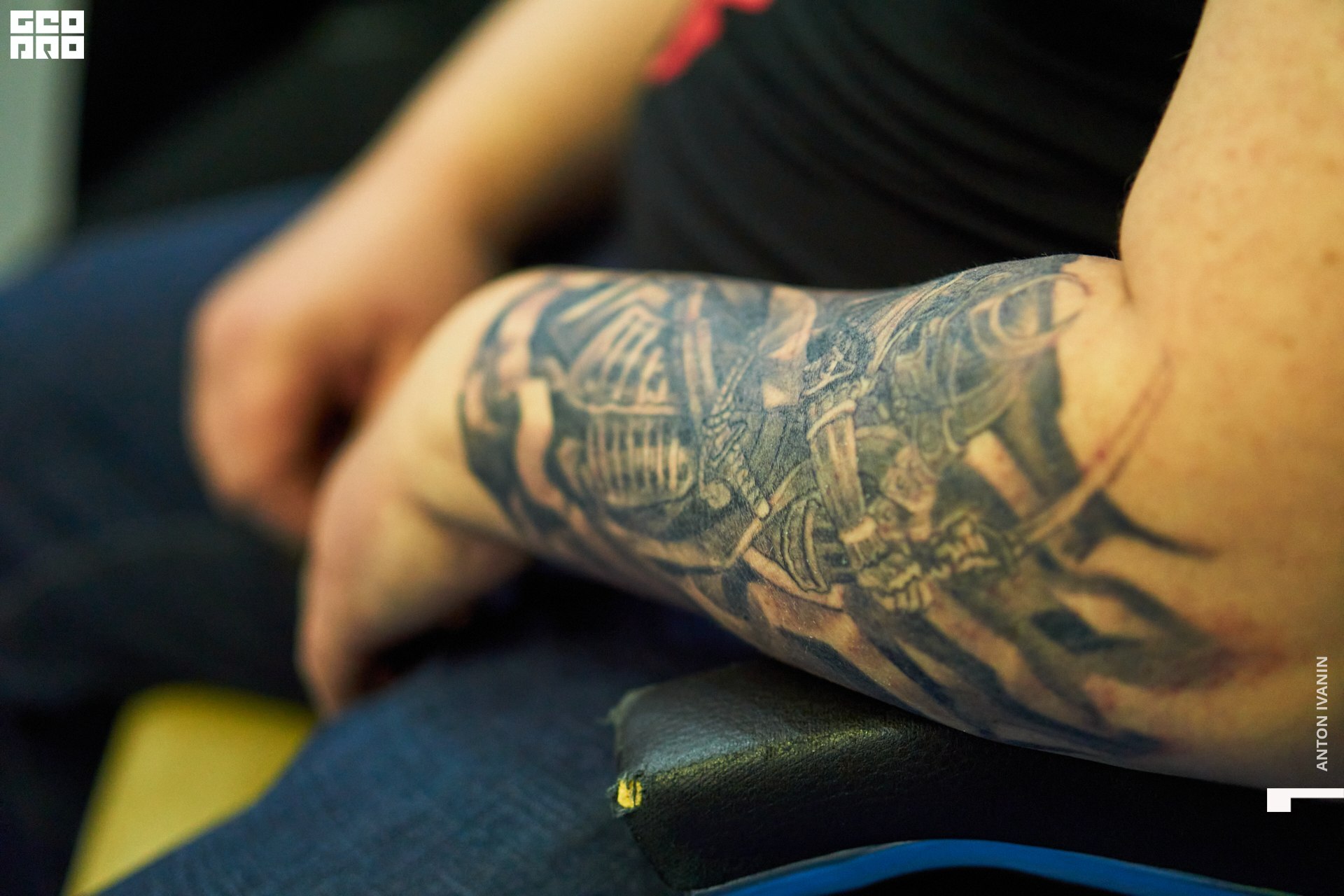 DSC08749 (Копировать).jpg