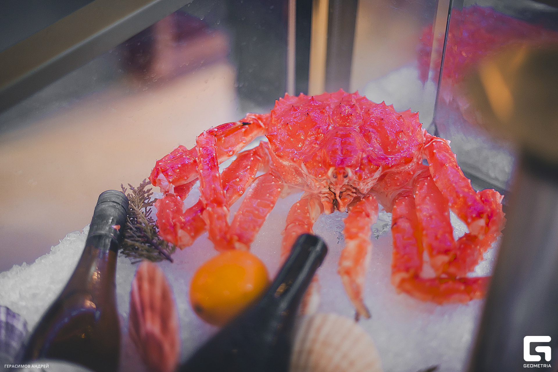 006Черноморские гады 01. 03.jpg