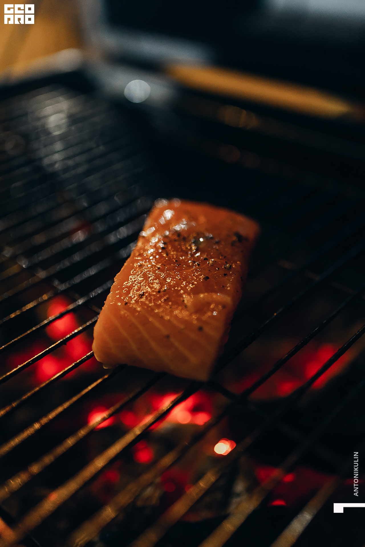 untitled shoot-9581.jpg