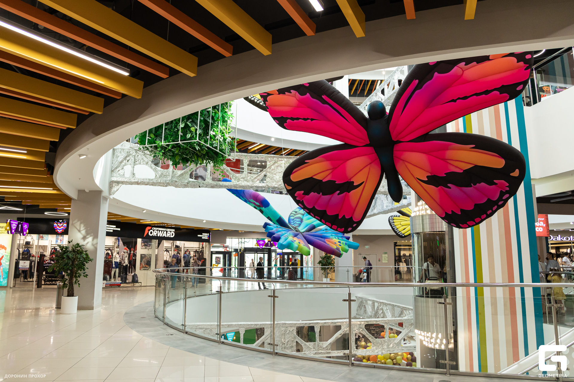 2023.09.01 ЯркоМОЛЛ 131.jpg