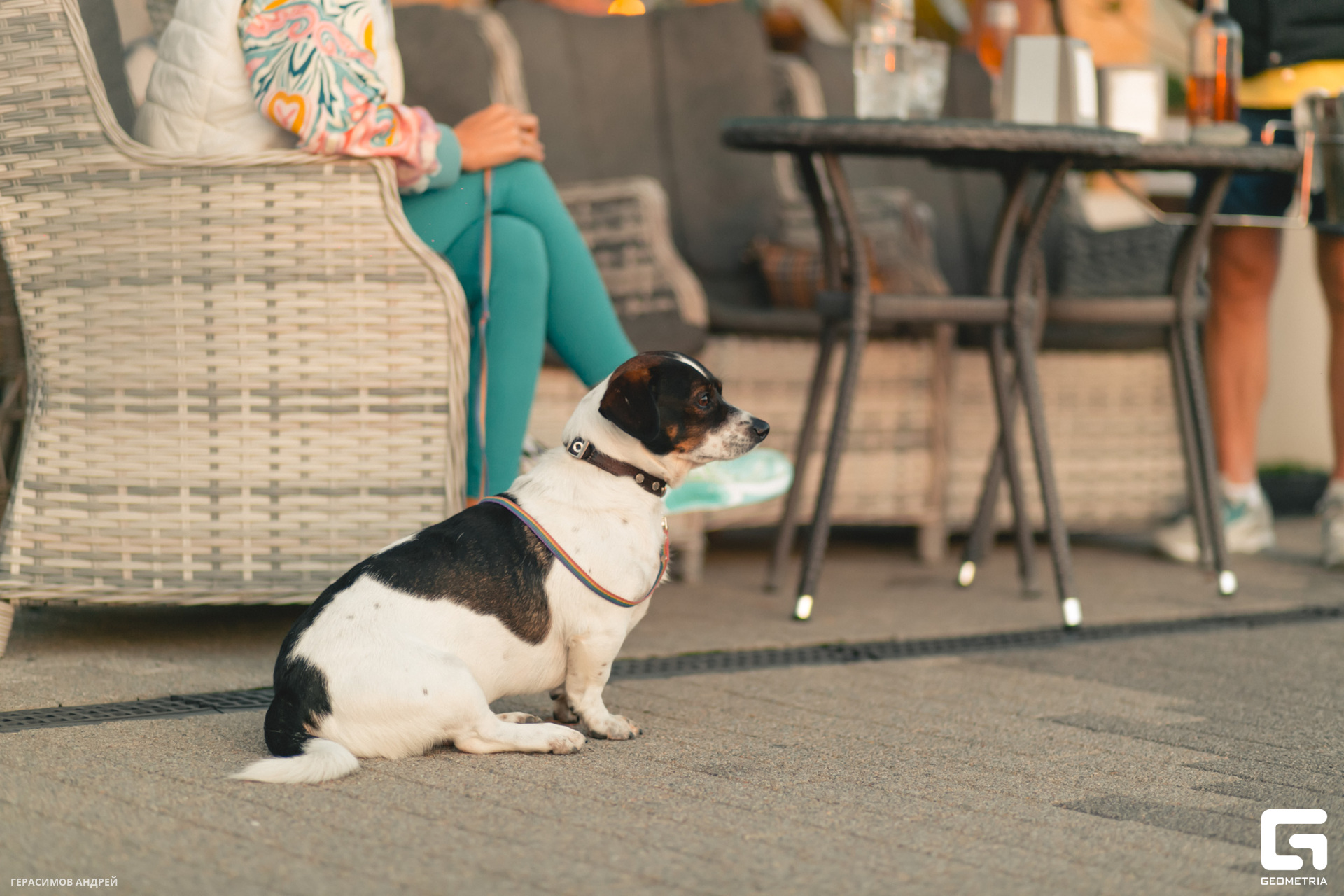 008 Rapana music 4.11.jpg