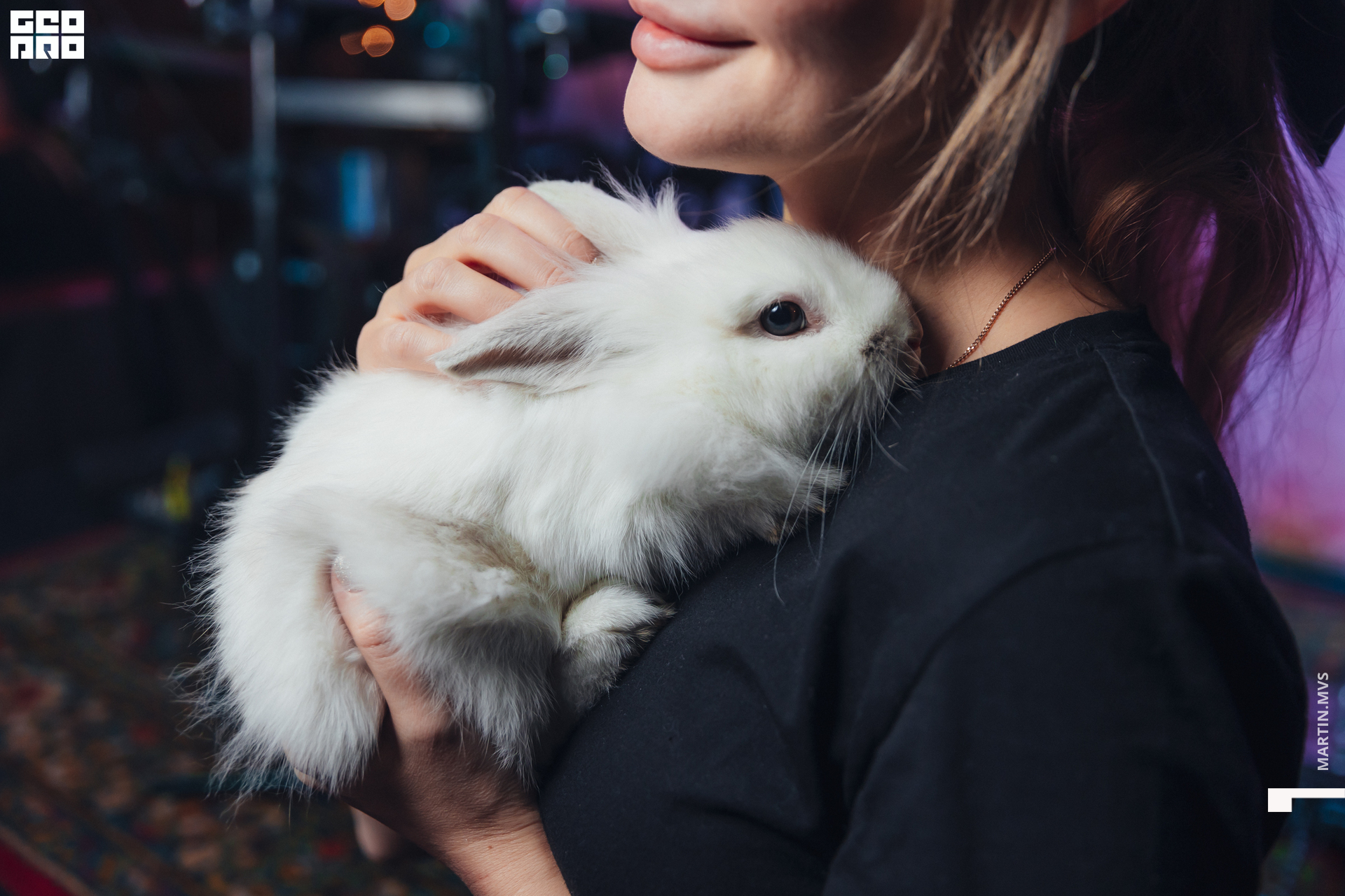 Секретное место 28.12.2022_0261.jpg