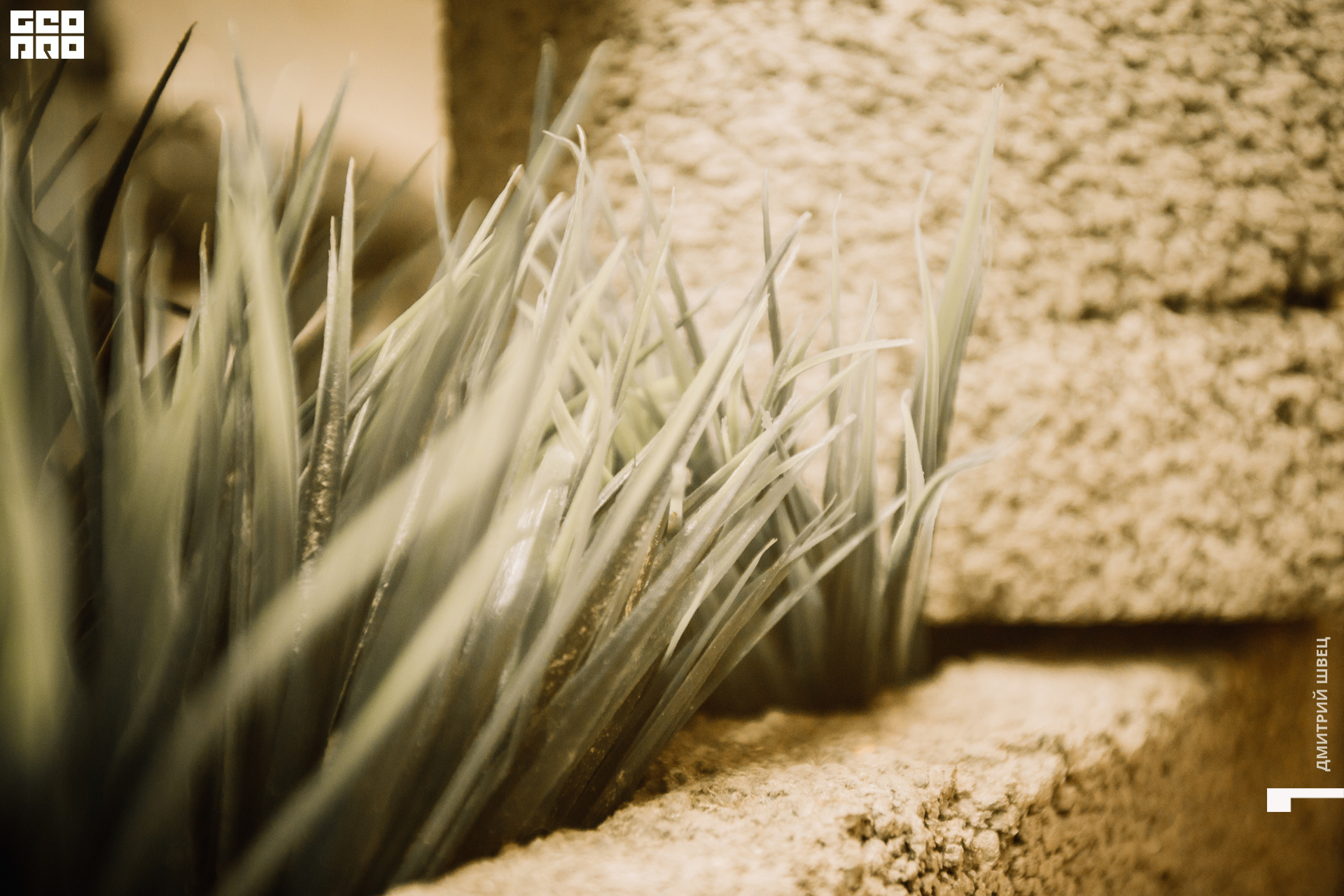 2021-11-26 19-26-59_Швец.jpg