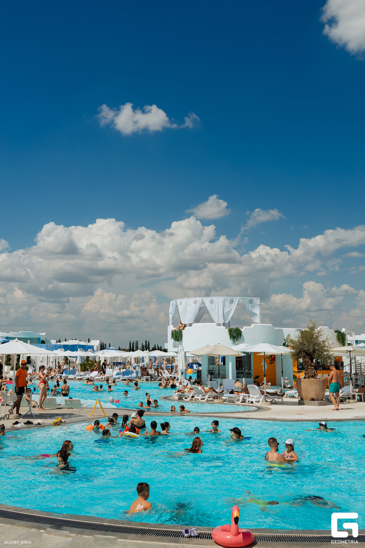 POOL DAY 16