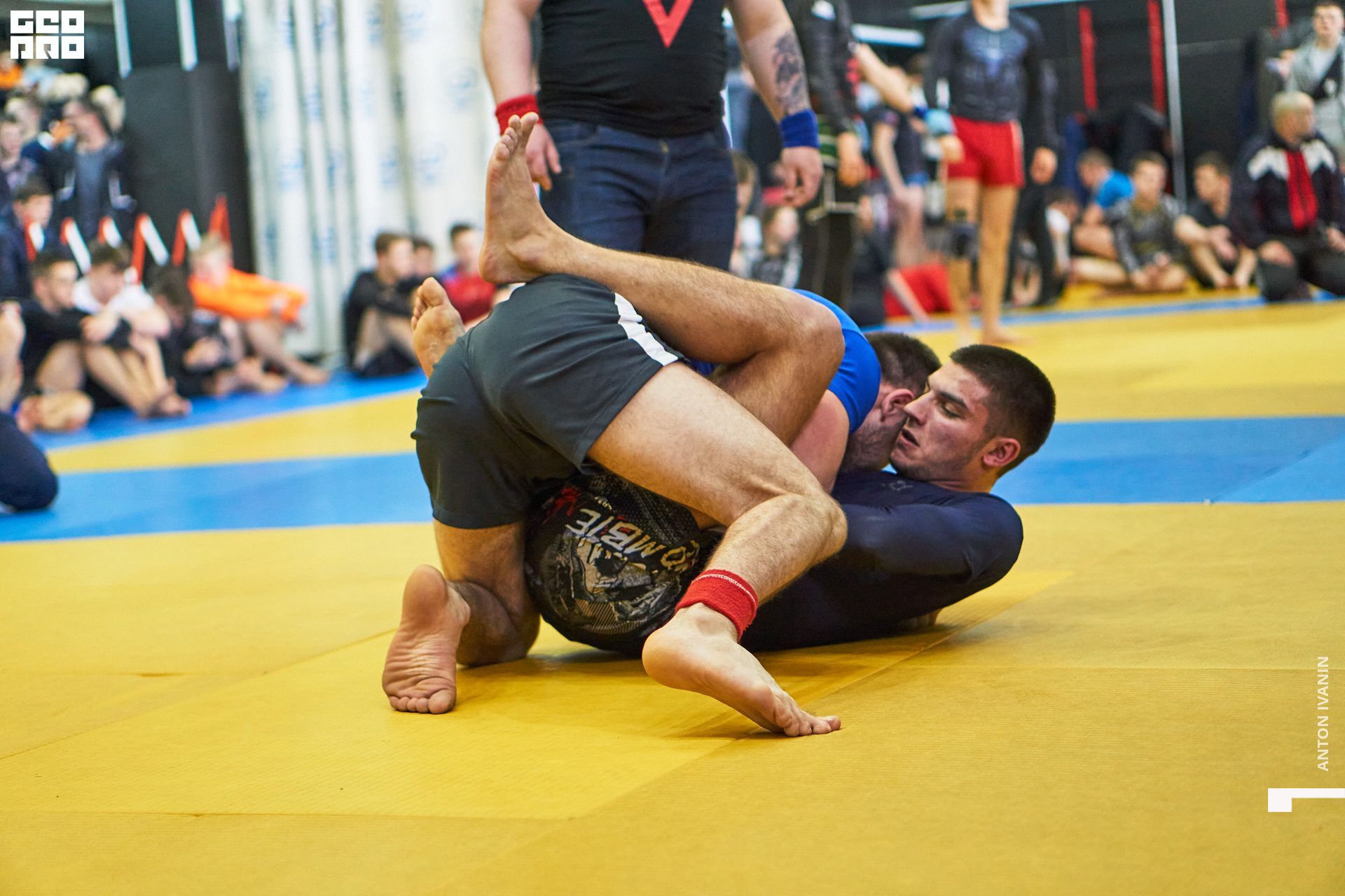 DSC08737 (Копировать).jpg