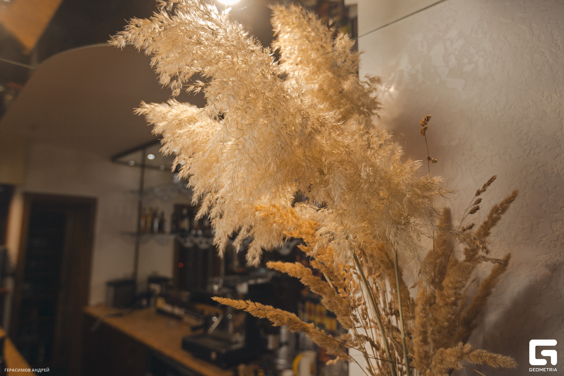 028 Бархат 18.11.jpg