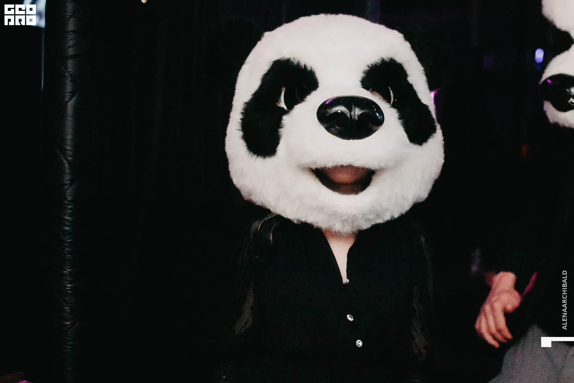 2021-02-21 00-50-44_alenaarchibald_070.JPG