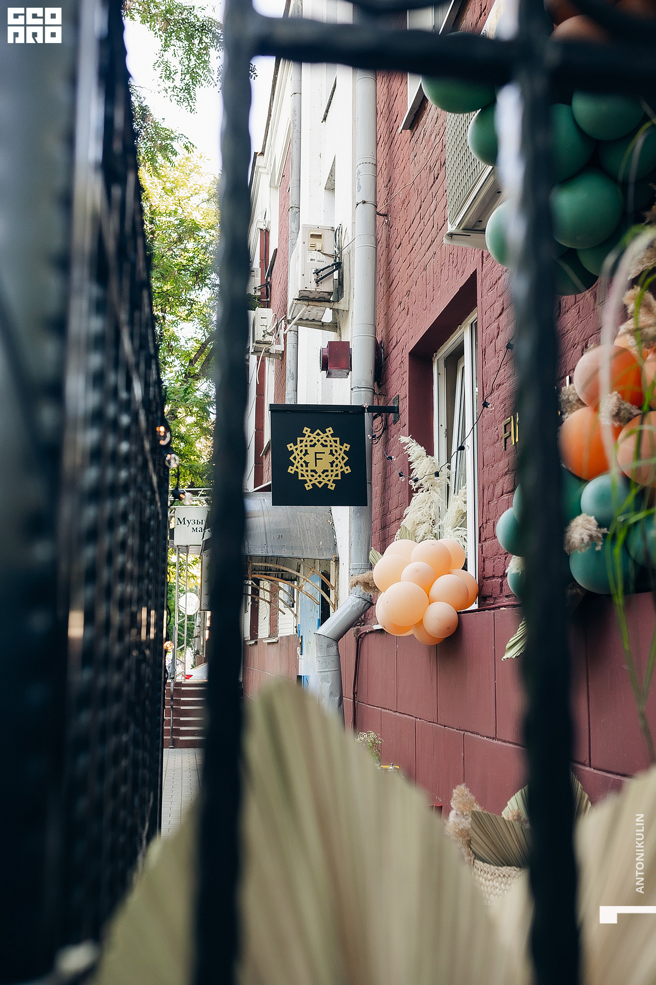 untitled shoot-5655.jpg