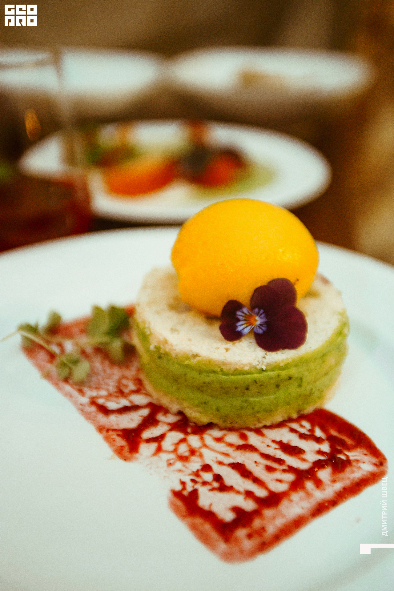 2021-12-15 21-29-25_Швец.jpg