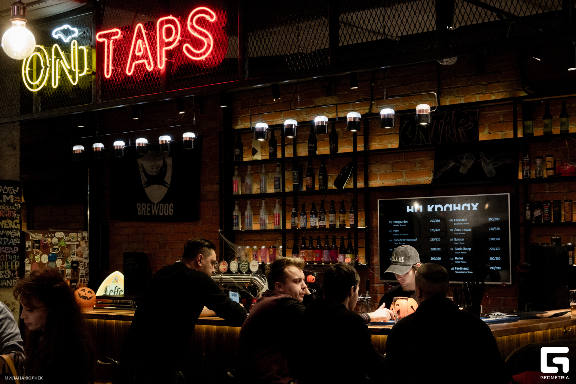 042_20231028 Волчек.jpg