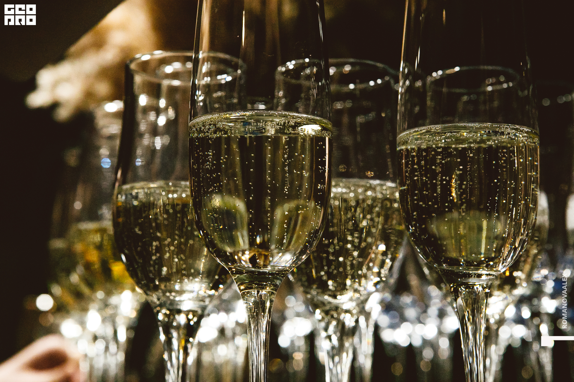 032 201122  195223 @romanovaalex.jpg