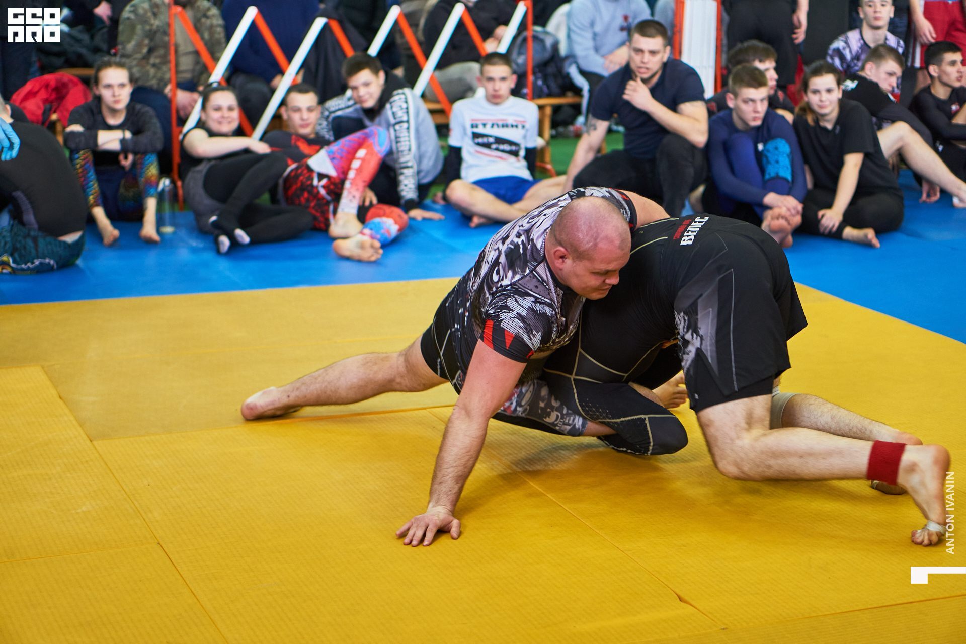 DSC09204 (Копировать).jpg