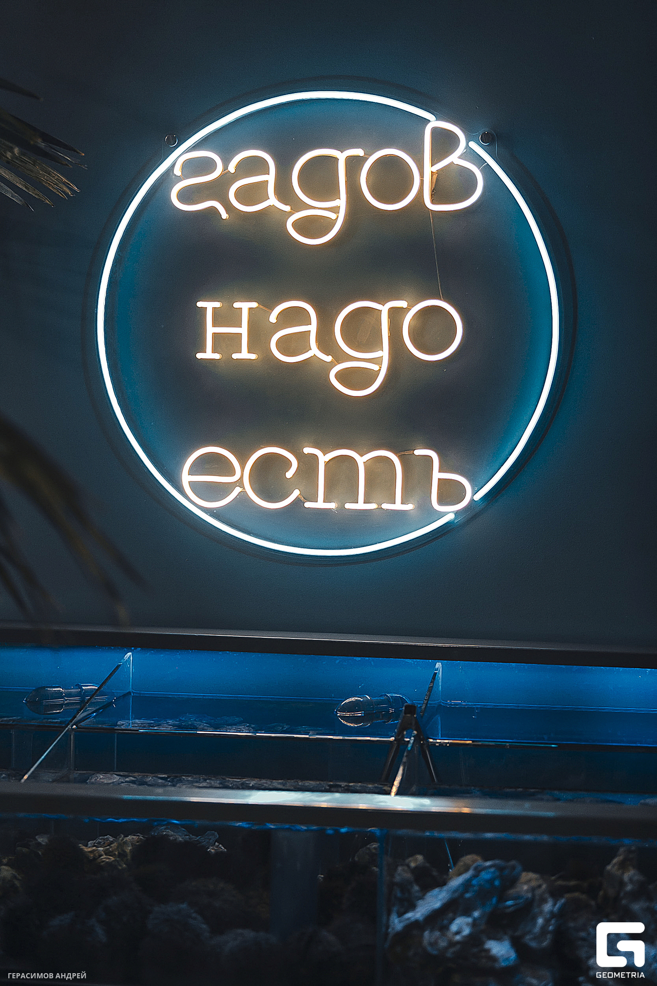 009Черноморские гады 01. 03.jpg