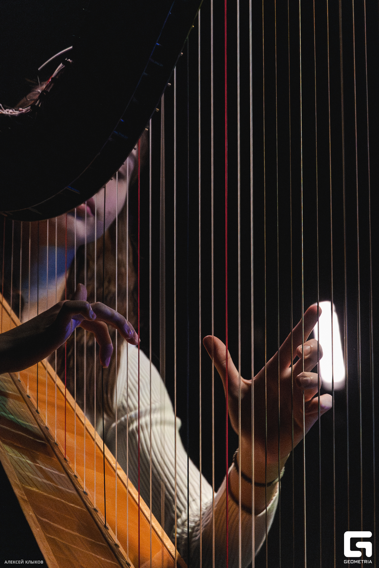 OTF_5446-Улучшено-Ум. шума.jpg