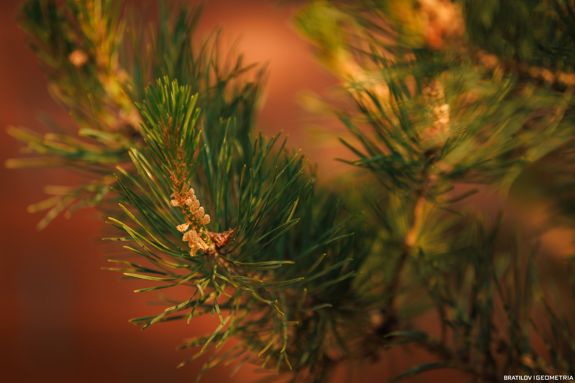 153 - 10_06_25 - 19_55_37.jpg