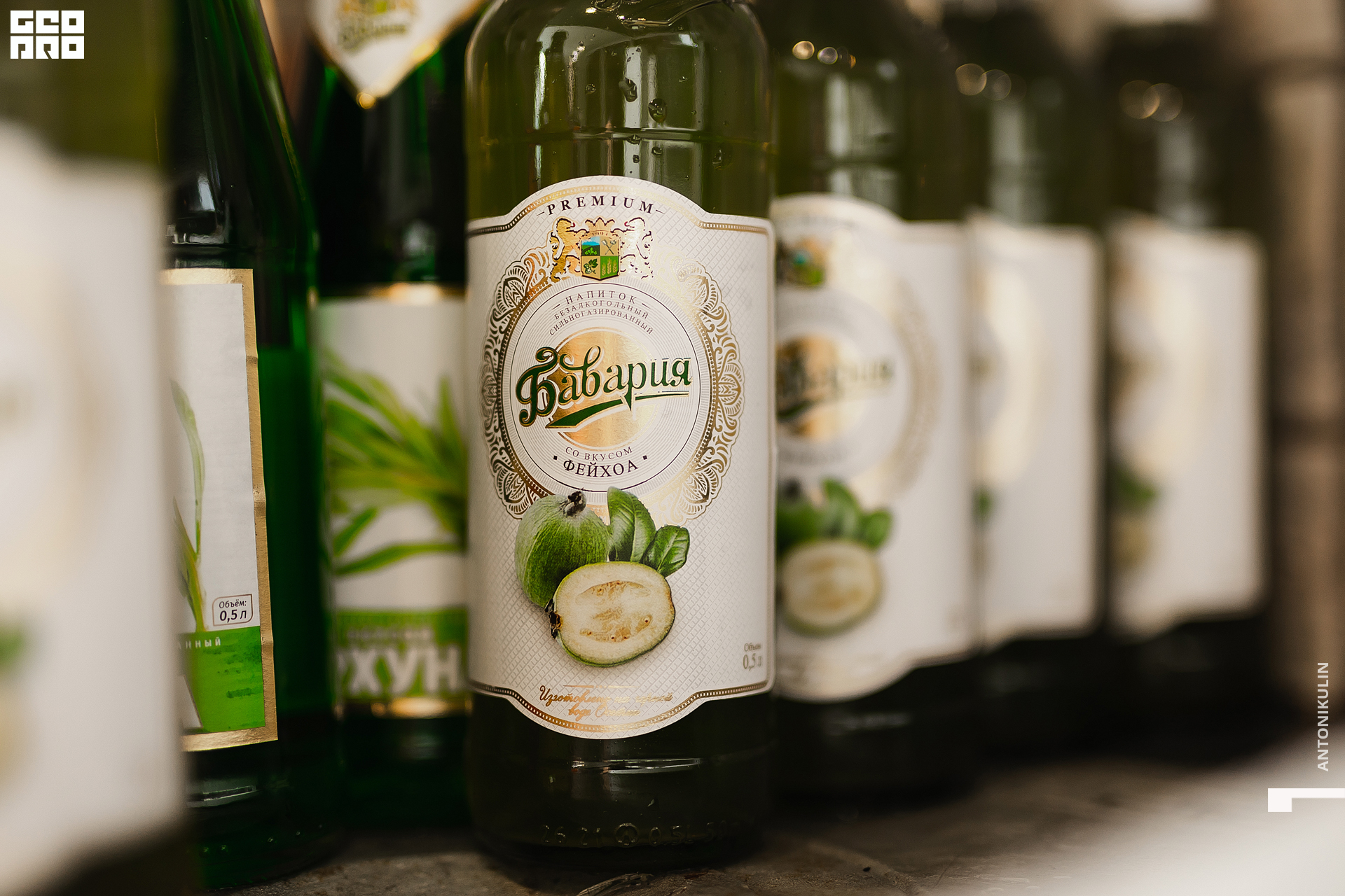 untitled shoot-3385.jpg