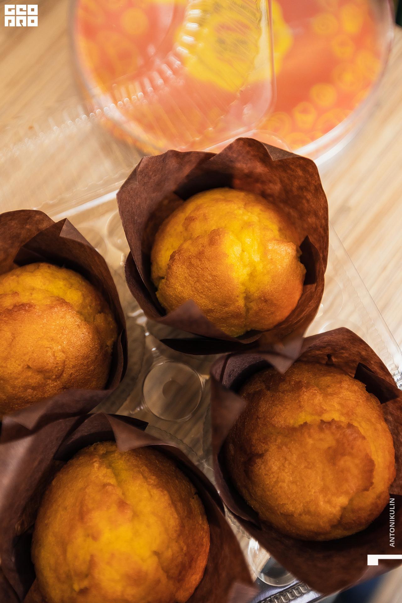 untitled shoot-5527.jpg