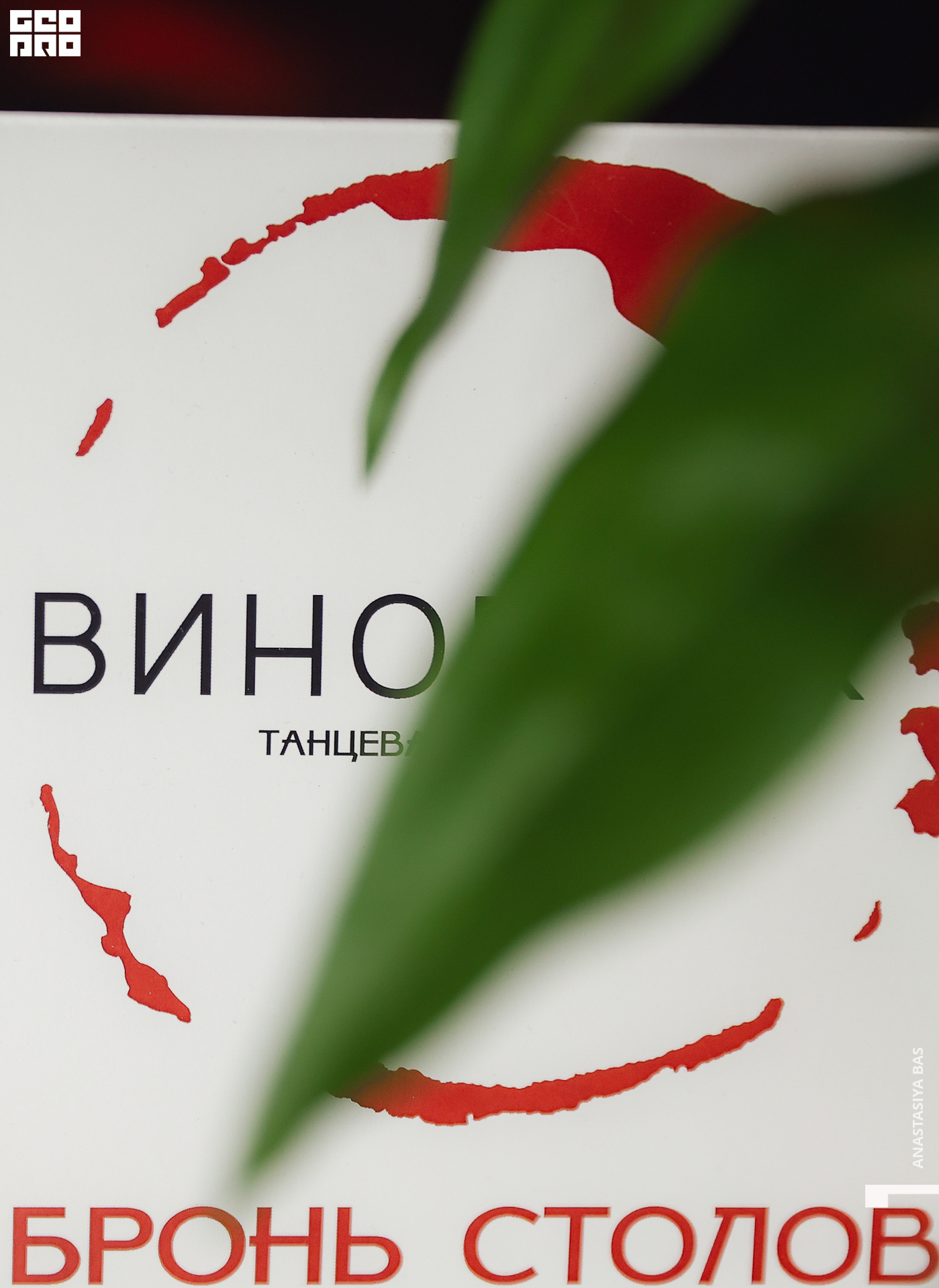 Виновник -699.jpg