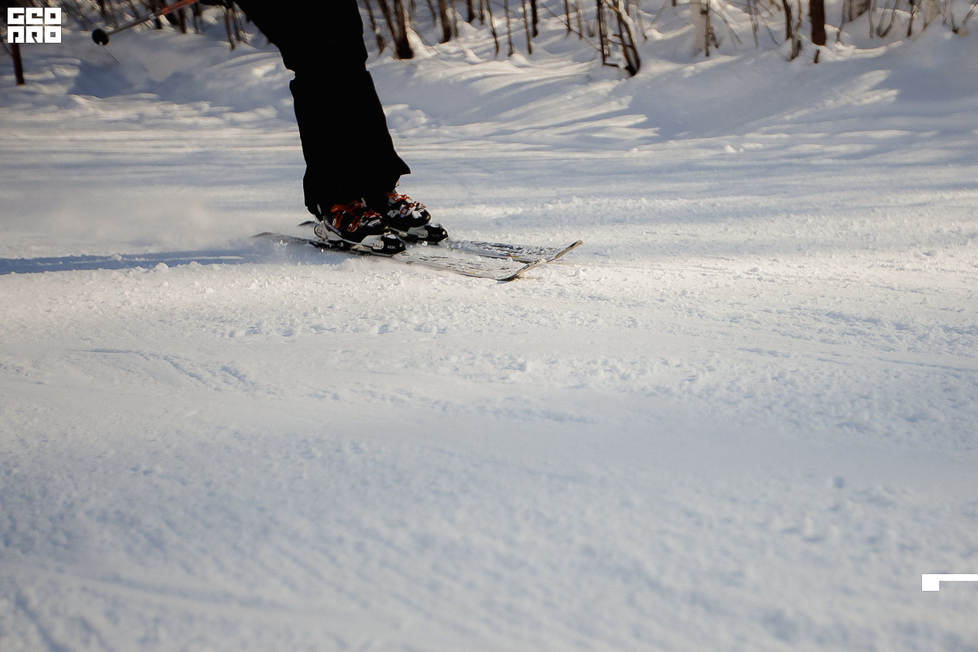 147_22-02-19 ISAEVA.jpg