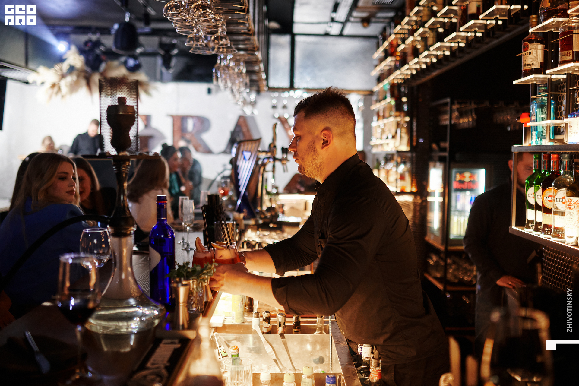 010_31-12-21_11-02 _Zhivotinsky.jpg